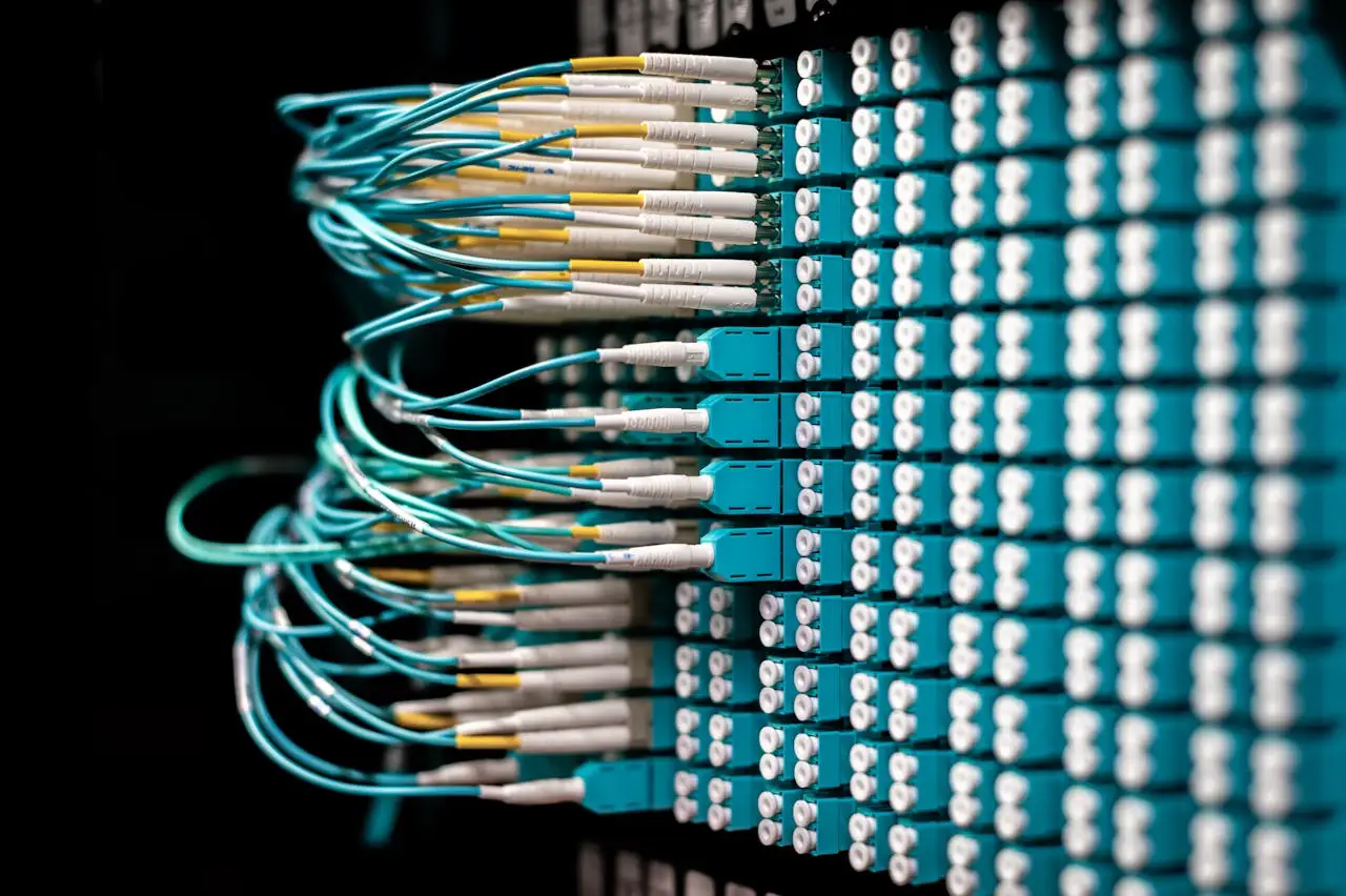 Cableado estructurado y panel de parcheo en rack